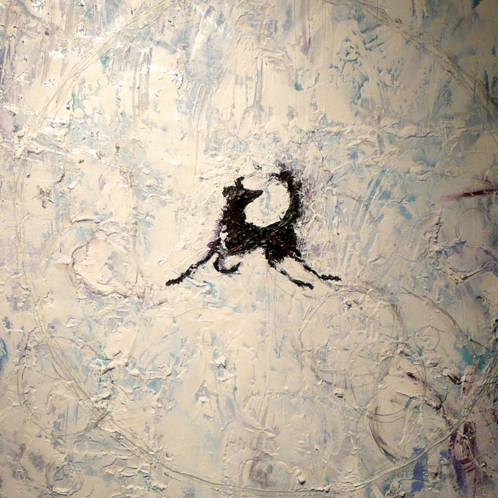 The little black dog